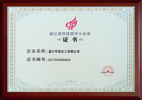 浙江省科技型中小企业